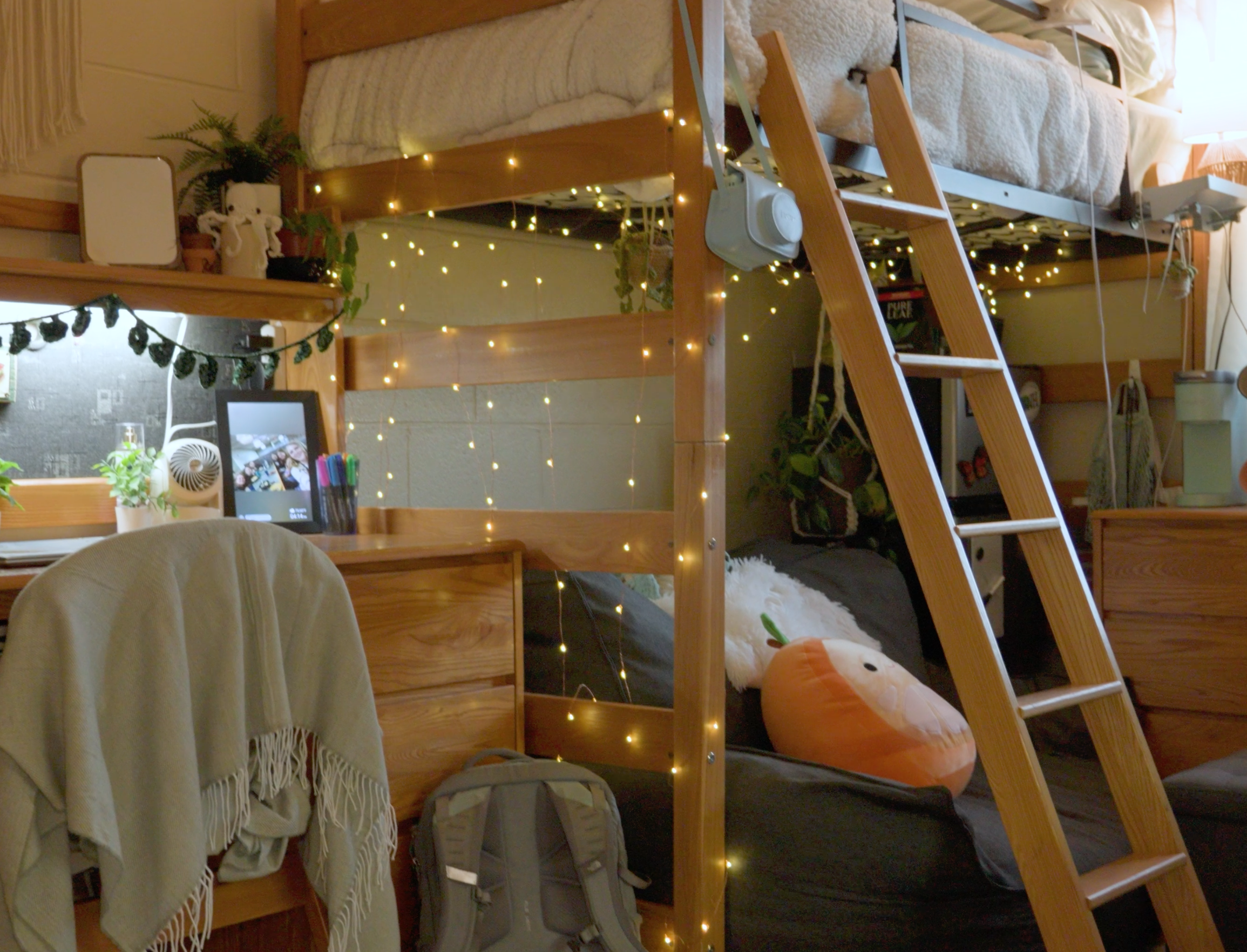 UNH Campus Cribs web series still