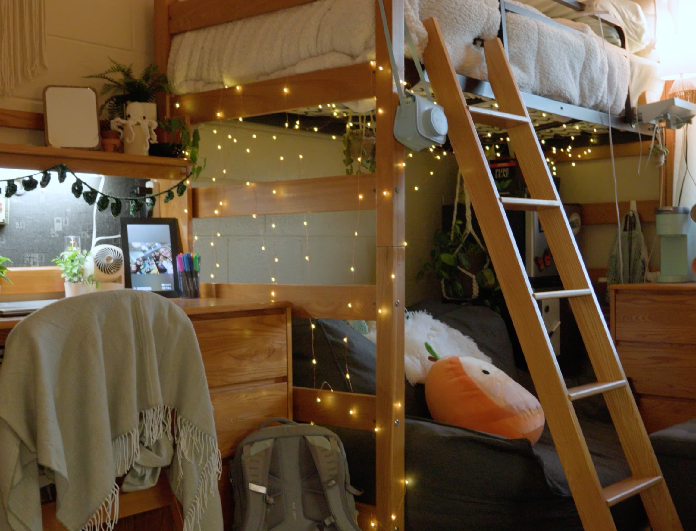 UNH Campus Cribs web series still